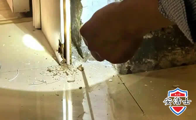 永嘉房屋建筑防治白蚁