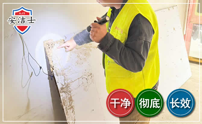 永嘉除白蚁现场